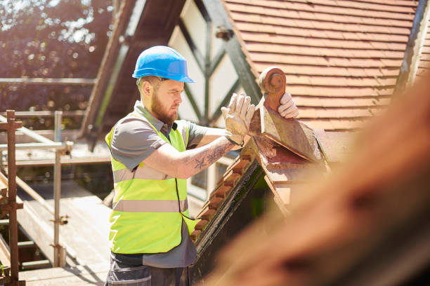 Best Local Roofing Companies  in Hughes Springs, TX